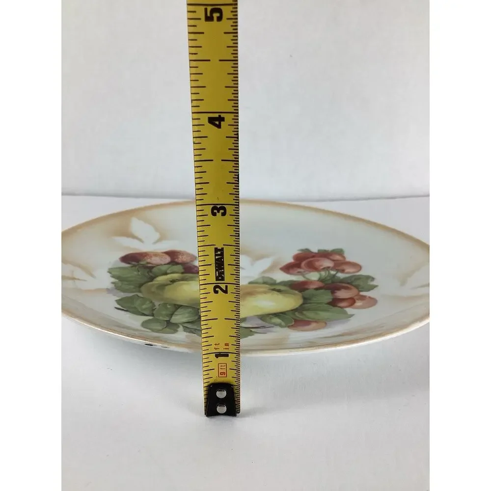 Antique VTG Hand Painted Fruit Bavaria Fruit Plate 8.5”